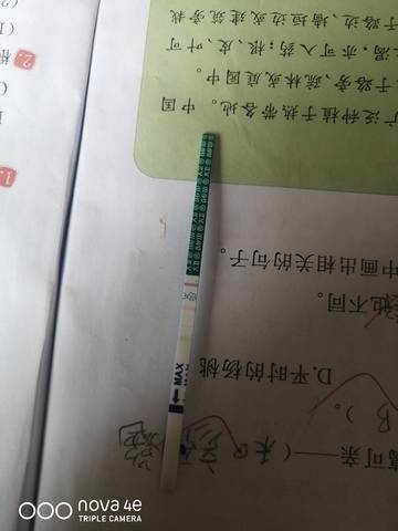 journal_insert_pic_1690116734