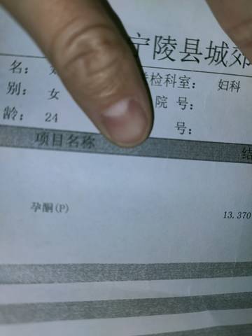 journal_insert_pic_1687355115