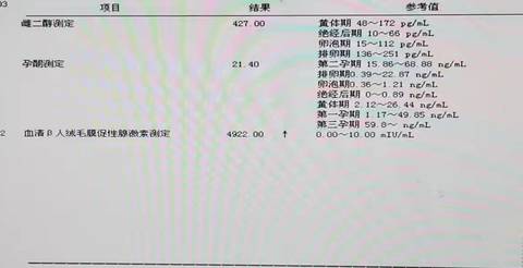 journal_insert_pic_1685624619