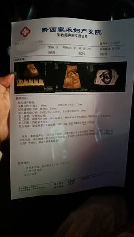 journal_insert_pic_1683301762
