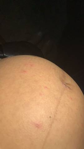 journal_insert_pic_1689163059