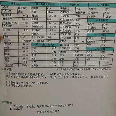 journal_insert_pic_1682389799