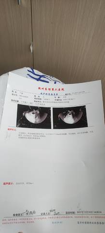 journal_insert_pic_1677625529
