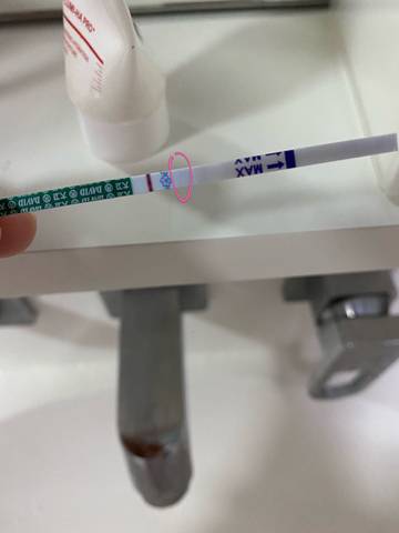 journal_insert_pic_1690396581