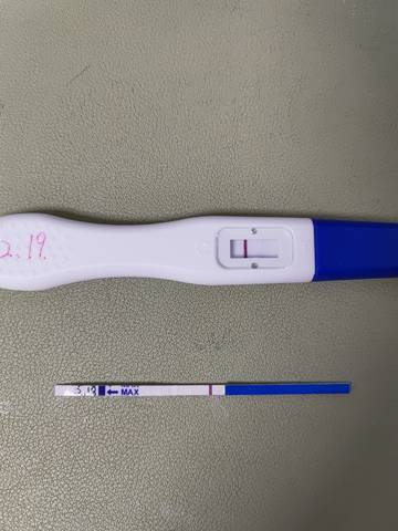 journal_insert_pic_1682544272