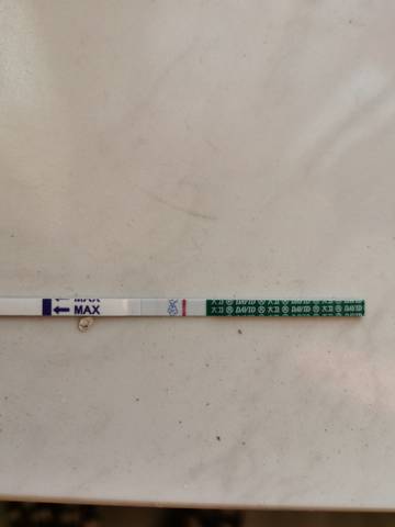 journal_insert_pic_1682368378