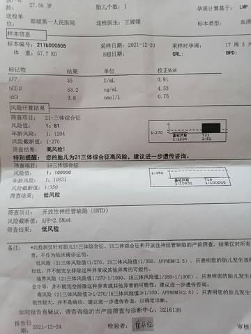 journal_insert_pic_1687195031