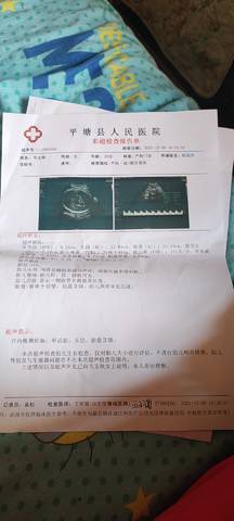 journal_insert_pic_1683377571