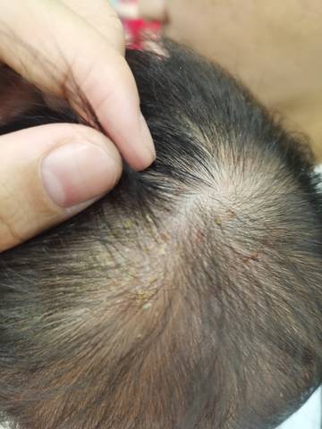 journal_insert_pic_1687806974