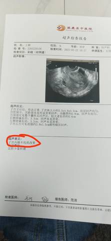 journal_insert_pic_1740810799