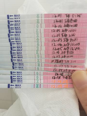 journal_insert_pic_1676737318