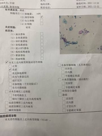 journal_insert_pic_1688483701