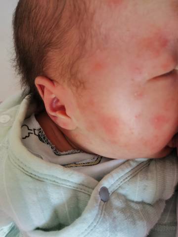 journal_insert_pic_1688999720