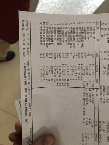 journal_insert_pic_1690116020