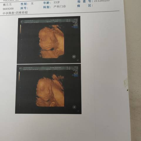 journal_insert_pic_1673102335