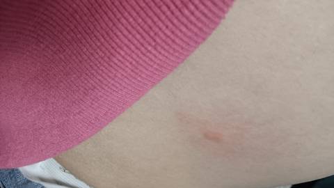 journal_insert_pic_1685620760