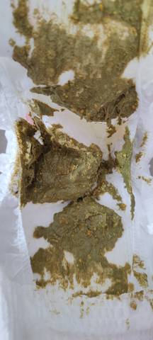 journal_insert_pic_1690218558