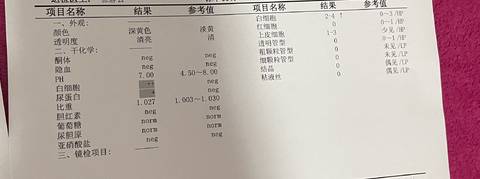 journal_insert_pic_1673820149