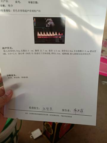 journal_insert_pic_1674664894