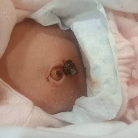 journal_insert_pic_1674131290