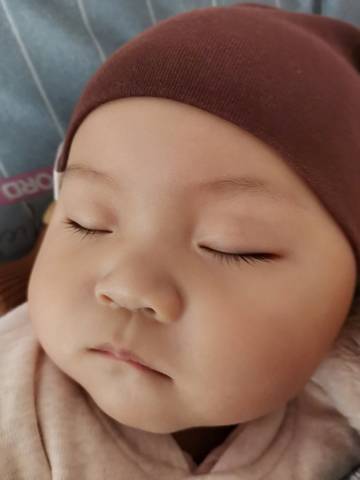 journal_insert_pic_1685781836