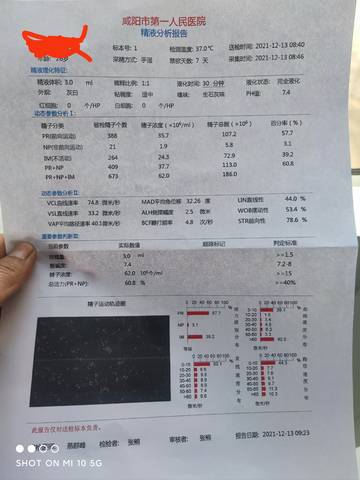 journal_insert_pic_1678962188