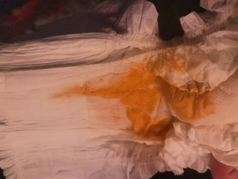 journal_insert_pic_1676600888