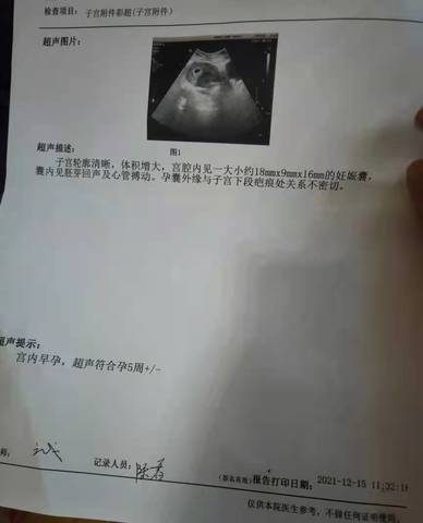 journal_insert_pic_1681775414