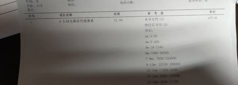 journal_insert_pic_1684215512