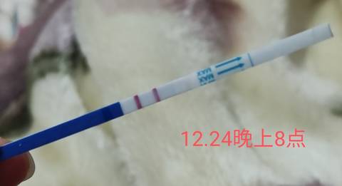 journal_insert_pic_1685705394