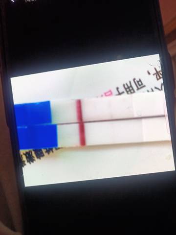 journal_insert_pic_1686164141