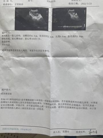 journal_insert_pic_1741153129