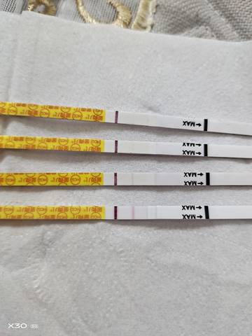 journal_insert_pic_1688128913