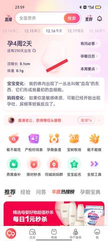 journal_insert_pic_1681243076