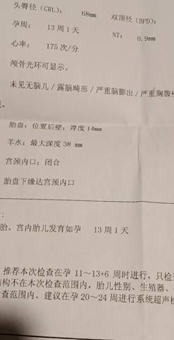 journal_insert_pic_1687590939
