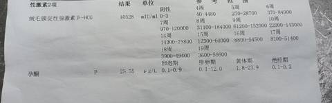 journal_insert_pic_1682939944