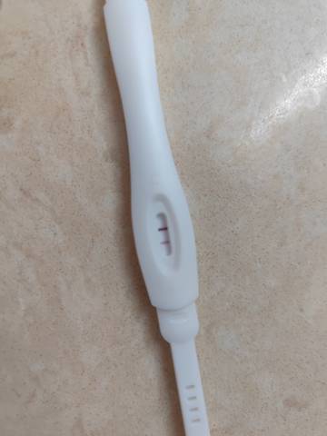 journal_insert_pic_1720015950