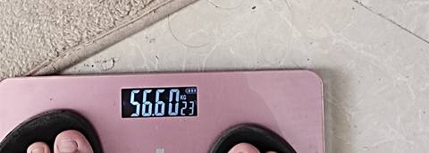 journal_insert_pic_1675656861