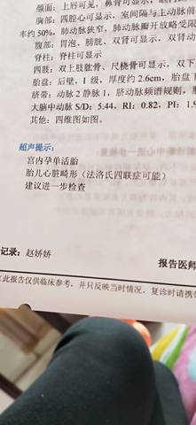 journal_insert_pic_1690068628