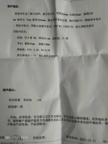journal_insert_pic_1677709162