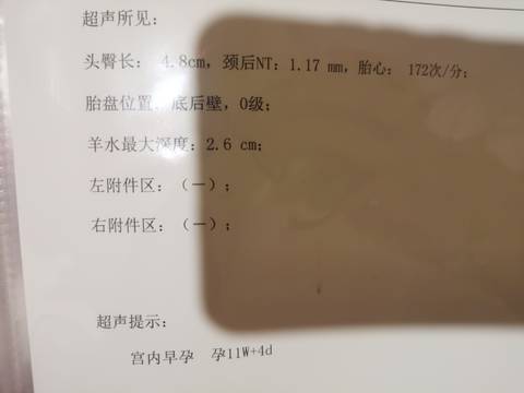 journal_insert_pic_1685983207