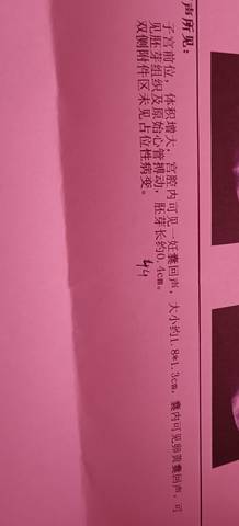 journal_insert_pic_1688743160