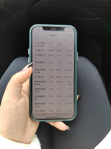 journal_insert_pic_1688342208