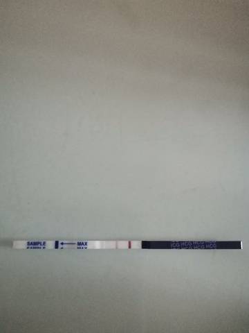 journal_insert_pic_1673394198