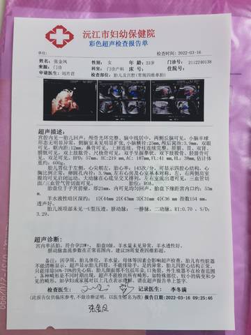 journal_insert_pic_1741185370