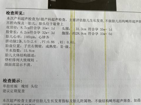 journal_insert_pic_1740994738