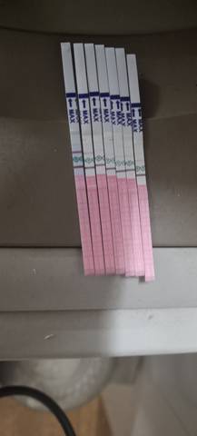 journal_insert_pic_1683410251