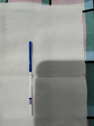 journal_insert_pic_1687313638