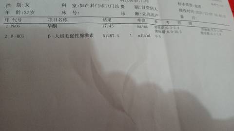 journal_insert_pic_1678634828