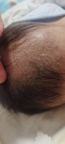 journal_insert_pic_1678547335